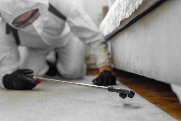 Professional Bed Bug Control technician working in Spicer, MN