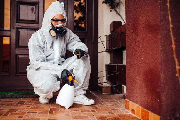 Reliable Bed Bug Control contractor in Spicer, MN by Nex Pest Control